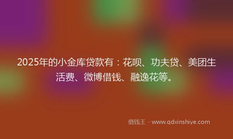 2025年的小金库贷款有：花呗、功夫贷、美团生活费、微博借钱、融逸花等。