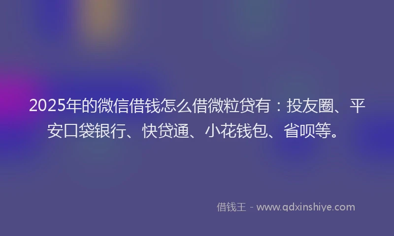 2025年的微信借钱怎么借微粒贷有：投友圈、平安口袋银行、快贷通、小花钱包、省呗等。