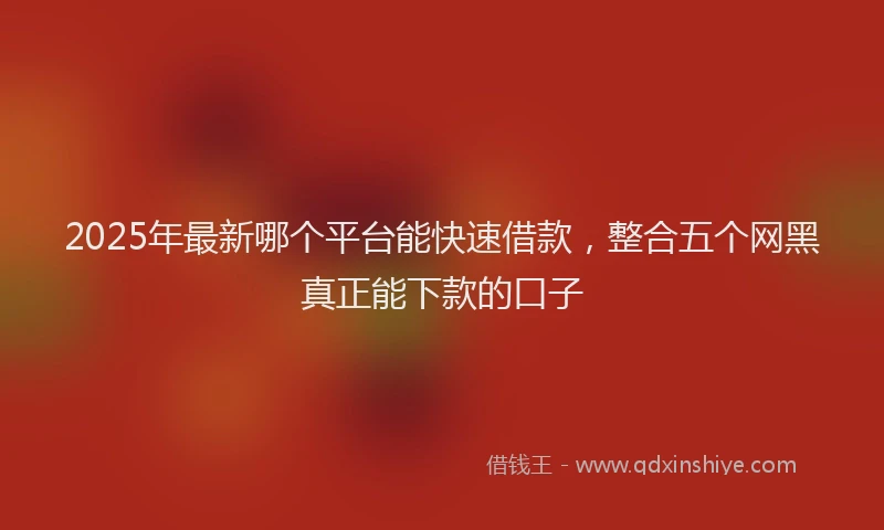 2025年最新哪个平台能快速借款，整合五个网黑真正能下款的口子