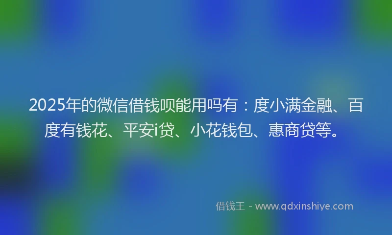 2025年的微信借钱呗能用吗有：度小满金融、百度有钱花、平安i贷、小花钱包、惠商贷等。