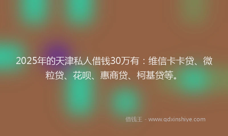 2025年的天津私人借钱30万有：维信卡卡贷、微粒贷、花呗、惠商贷、柯基贷等。