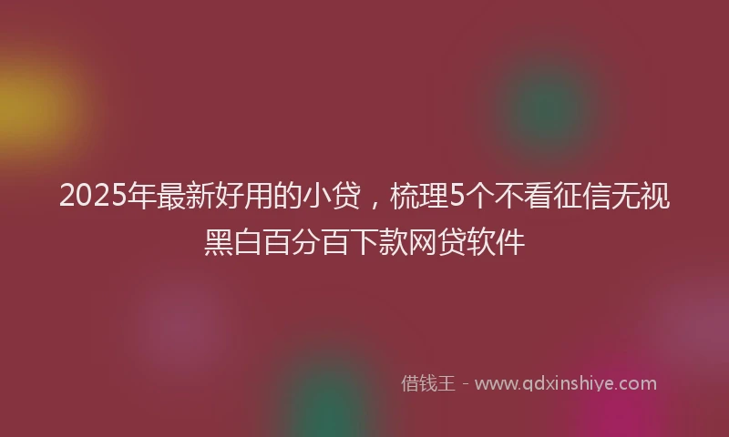 2025年最新好用的小贷，梳理5个不看征信无视黑白百分百下款网贷软件