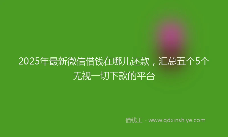 2025年最新微信借钱在哪儿还款，汇总五个5个无视一切下款的平台