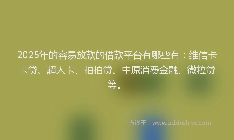 2025年的容易放款的借款平台有哪些有：维信卡卡贷、超人卡、拍拍贷、中原消费金融、微粒贷等。