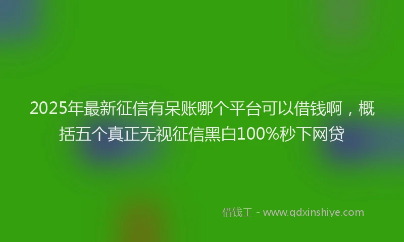 2025年最新征信有呆账哪个平台可以借钱啊，概括五个真正无视征信黑白100%秒下网贷