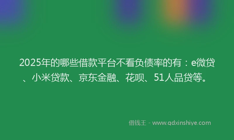 2025年的哪些借款平台不看负债率的有：e微贷、小米贷款、京东金融、花呗、51人品贷等。