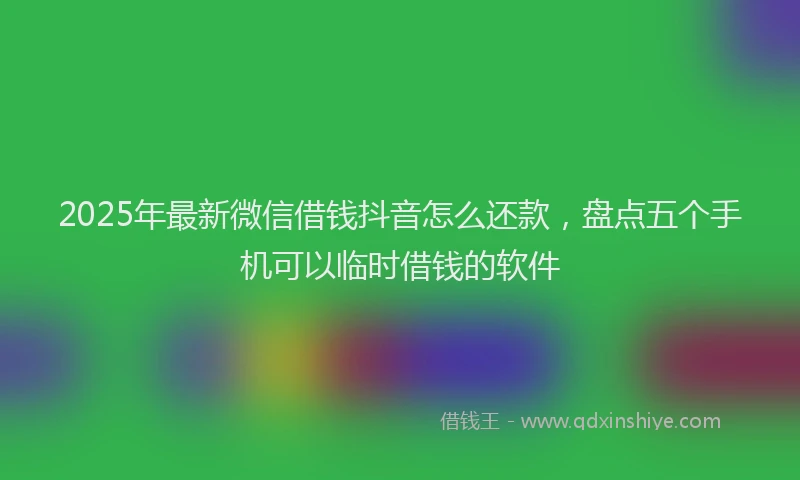 2025年最新微信借钱抖音怎么还款，盘点五个手机可以临时借钱的软件