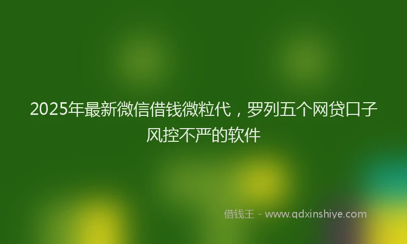 2025年最新微信借钱微粒代，罗列五个网贷口子风控不严的软件