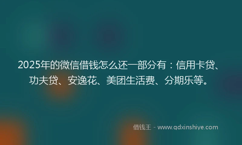 2025年的微信借钱怎么还一部分有：信用卡贷、功夫贷、安逸花、美团生活费、分期乐等。