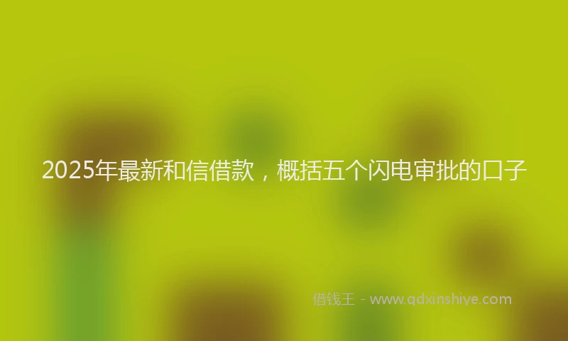 2025年最新和信借款，概括五个闪电审批的口子