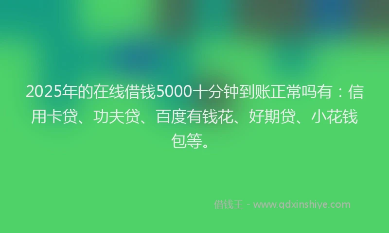 2025年的在线借钱5000十分钟到账正常吗有：信用卡贷、功夫贷、百度有钱花、好期贷、小花钱包等。