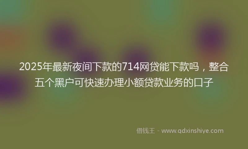 2025年最新夜间下款的714网贷能下款吗，整合五个黑户可快速办理小额贷款业务的口子