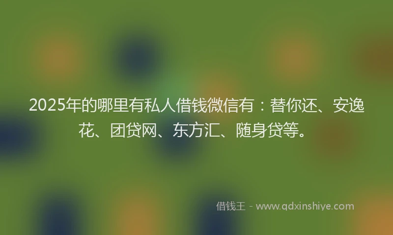 2025年的哪里有私人借钱微信有：替你还、安逸花、团贷网、东方汇、随身贷等。