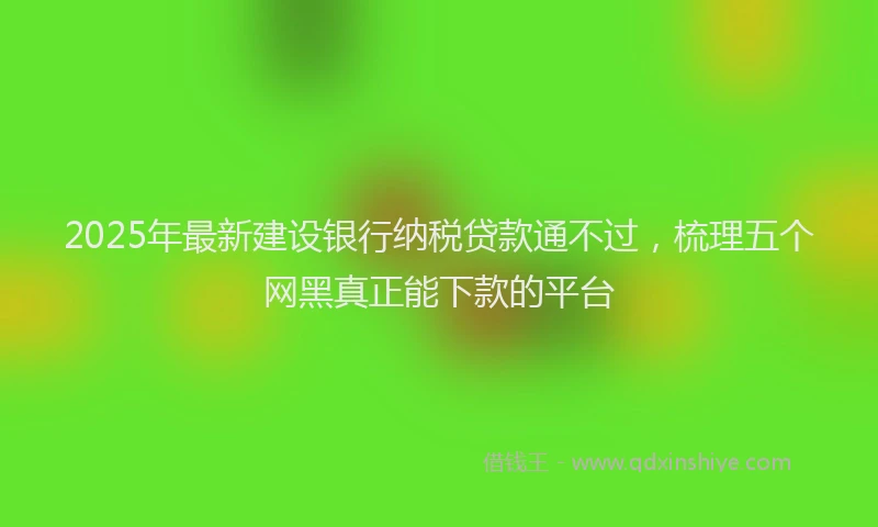 2025年最新建设银行纳税贷款通不过，梳理五个网黑真正能下款的平台