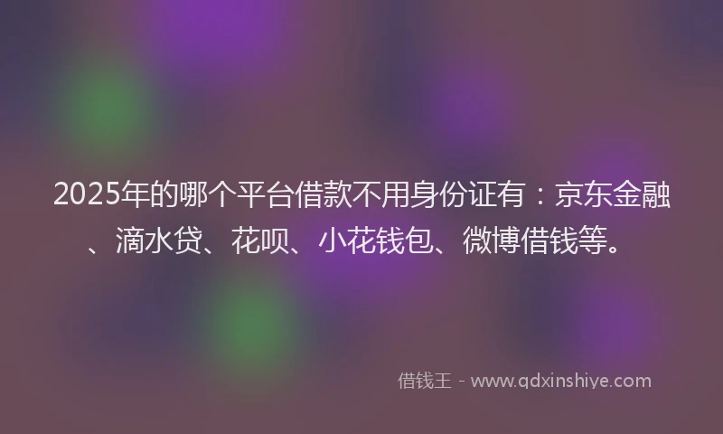 2025年的哪个平台借款不用身份证有：京东金融、滴水贷、花呗、小花钱包、微博借钱等。