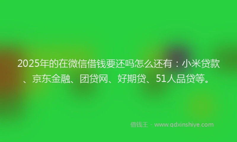 2025年的在微信借钱要还吗怎么还有：小米贷款、京东金融、团贷网、好期贷、51人品贷等。