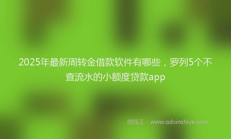 2025年最新周转金借款软件有哪些，罗列5个不查流水的小额度贷款app
