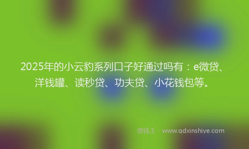 2025年的小云豹系列口子好通过吗有：e微贷、洋钱罐、读秒贷、功夫贷、小花钱包等。