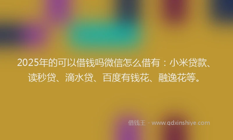 2025年的可以借钱吗微信怎么借有：小米贷款、读秒贷、滴水贷、百度有钱花、融逸花等。