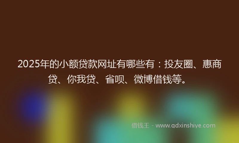 2025年的小额贷款网址有哪些有：投友圈、惠商贷、你我贷、省呗、微博借钱等。