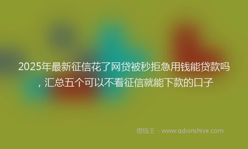 2025年最新征信花了网贷被秒拒急用钱能贷款吗，汇总五个可以不看征信就能下款的口子