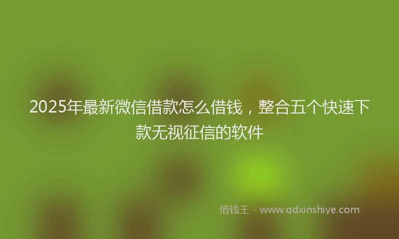 2025年最新微信借款怎么借钱，整合五个快速下款无视征信的软件