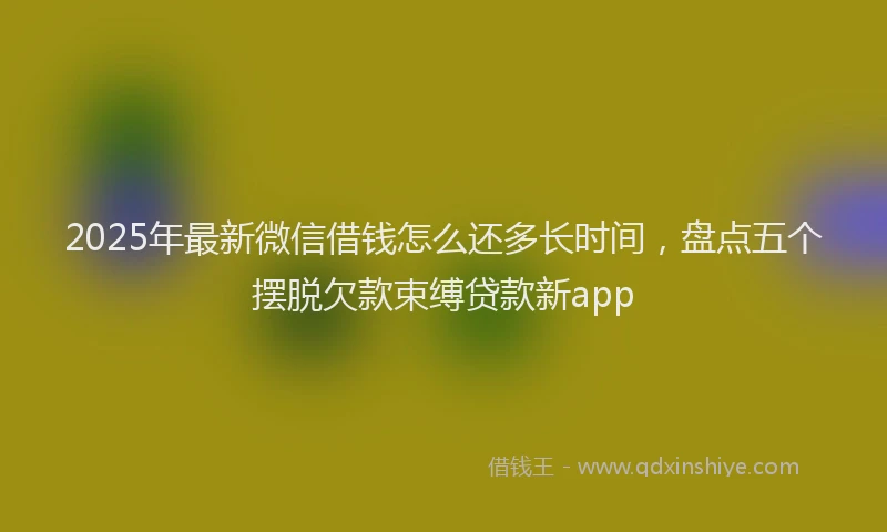 2025年最新微信借钱怎么还多长时间，盘点五个摆脱欠款束缚贷款新app