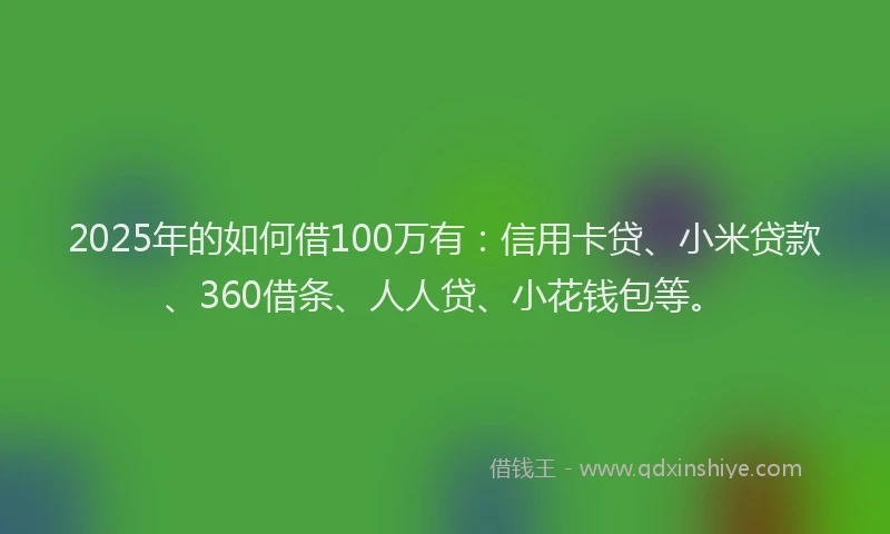 2025年的如何借100万有：信用卡贷、小米贷款、360借条、人人贷、小花钱包等。