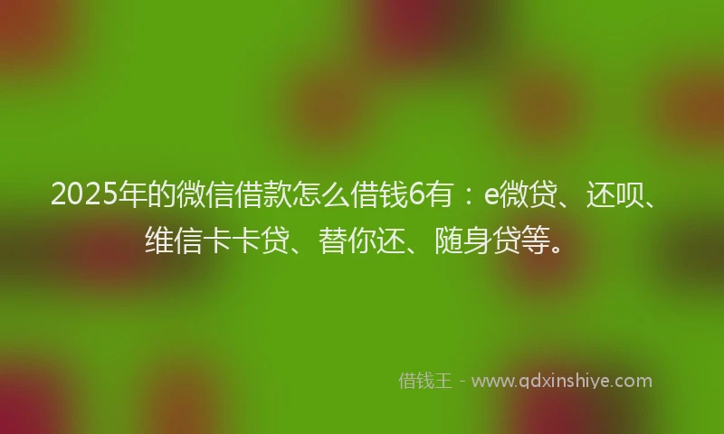 2025年的微信借款怎么借钱6有：e微贷、还呗、维信卡卡贷、替你还、随身贷等。
