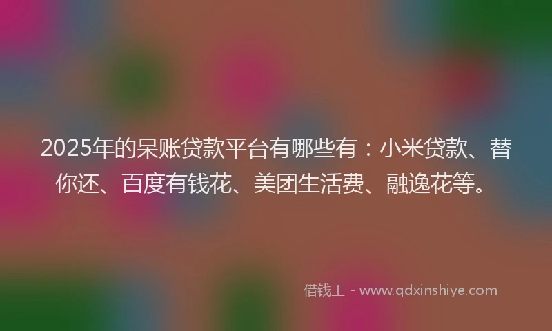 2025年的呆账贷款平台有哪些有：小米贷款、替你还、百度有钱花、美团生活费、融逸花等。