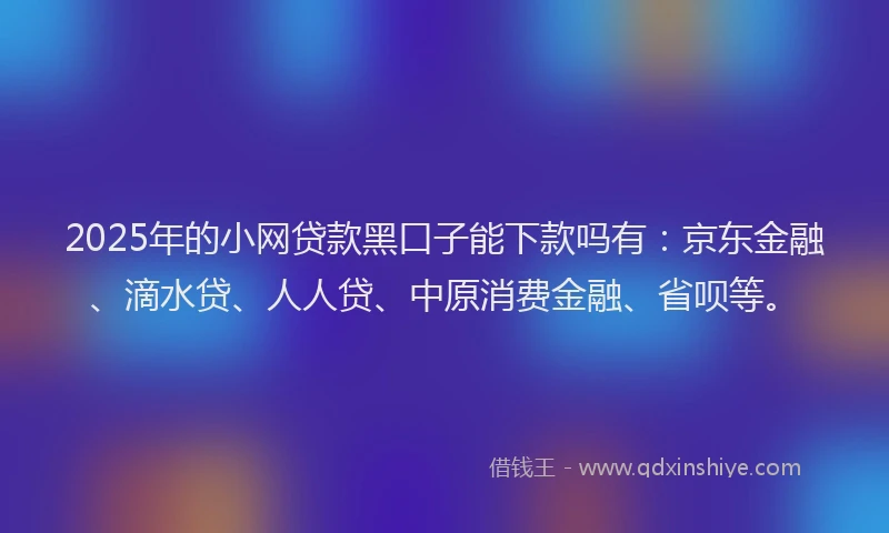 2025年的小网贷款黑口子能下款吗有：京东金融、滴水贷、人人贷、中原消费金融、省呗等。