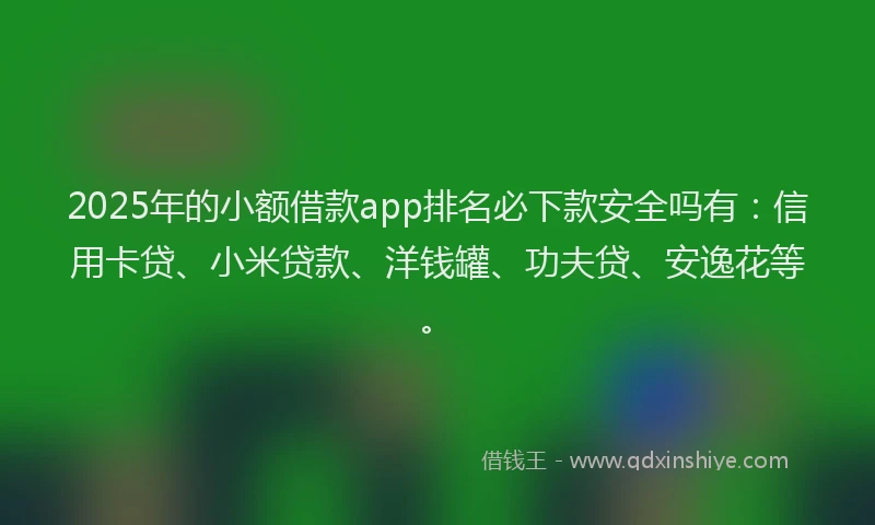2025年的小额借款app排名必下款安全吗有：信用卡贷、小米贷款、洋钱罐、功夫贷、安逸花等。