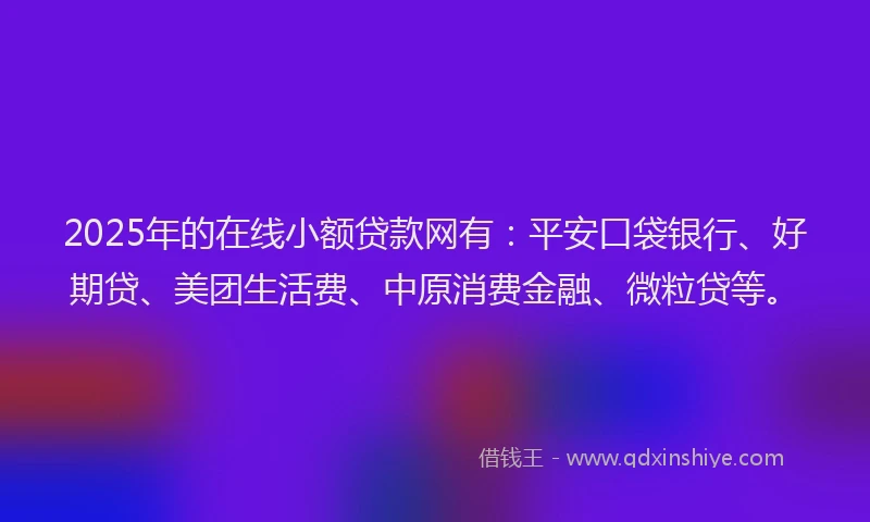 2025年的在线小额贷款网有：平安口袋银行、好期贷、美团生活费、中原消费金融、微粒贷等。
