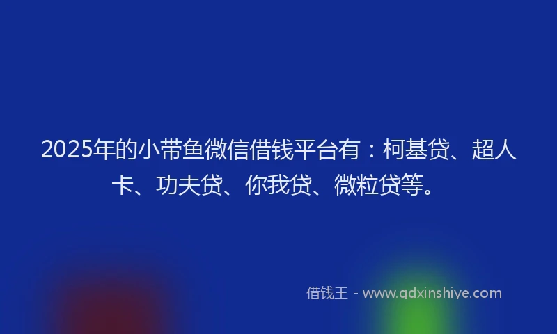 2025年的小带鱼微信借钱平台有：柯基贷、超人卡、功夫贷、你我贷、微粒贷等。