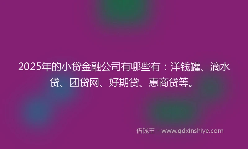 2025年的小贷金融公司有哪些有：洋钱罐、滴水贷、团贷网、好期贷、惠商贷等。