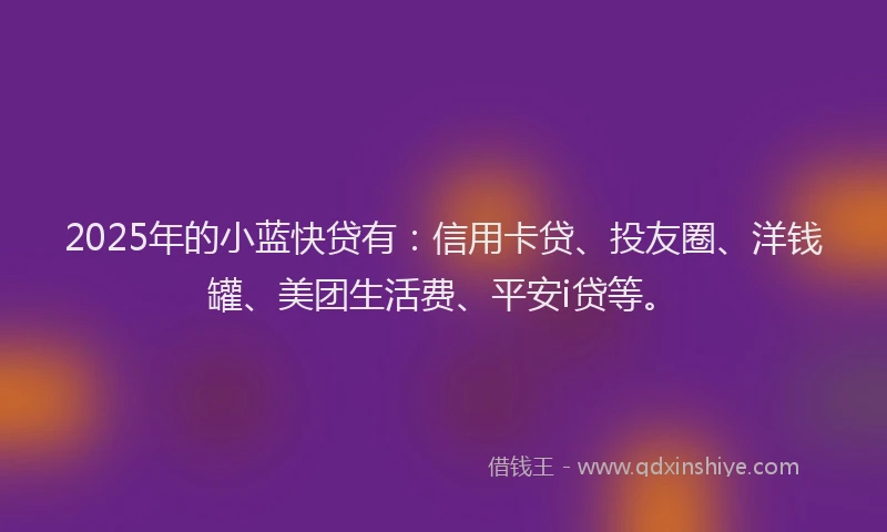 2025年的小蓝快贷有：信用卡贷、投友圈、洋钱罐、美团生活费、平安i贷等。