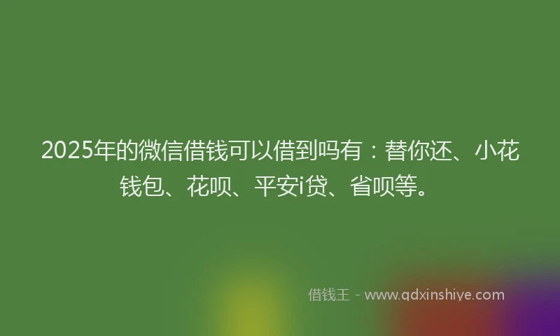 2025年的微信借钱可以借到吗有：替你还、小花钱包、花呗、平安i贷、省呗等。