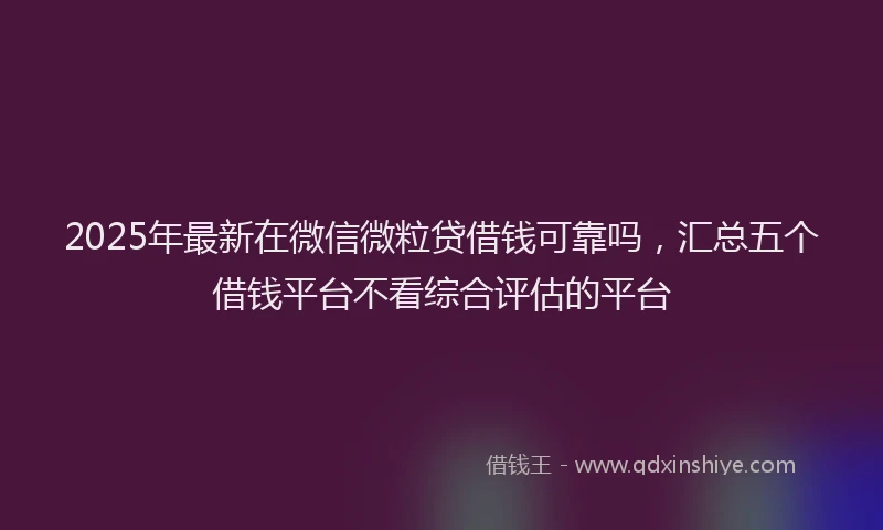 2025年最新在微信微粒贷借钱可靠吗，汇总五个借钱平台不看综合评估的平台