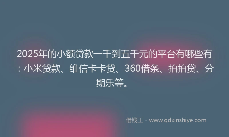 2025年的小额贷款一千到五千元的平台有哪些有：小米贷款、维信卡卡贷、360借条、拍拍贷、分期乐等。