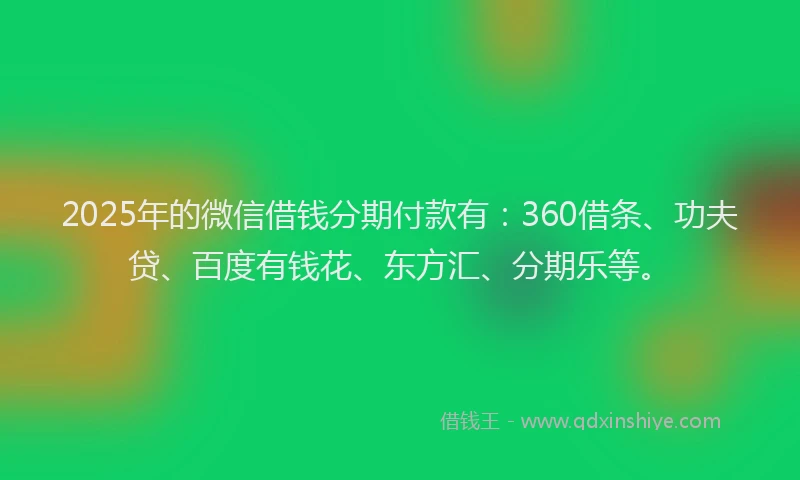 2025年的微信借钱分期付款有：360借条、功夫贷、百度有钱花、东方汇、分期乐等。