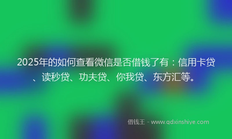 2025年的如何查看微信是否借钱了有：信用卡贷、读秒贷、功夫贷、你我贷、东方汇等。