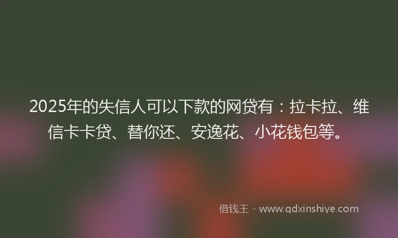 2025年的失信人可以下款的网贷有：拉卡拉、维信卡卡贷、替你还、安逸花、小花钱包等。