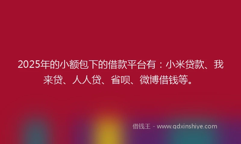 2025年的小额包下的借款平台有：小米贷款、我来贷、人人贷、省呗、微博借钱等。