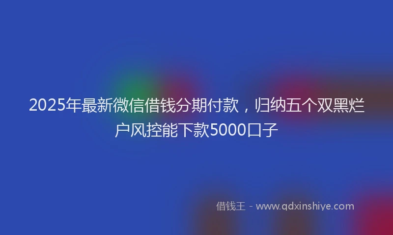 2025年最新微信借钱分期付款，归纳五个双黑烂户风控能下款5000口子