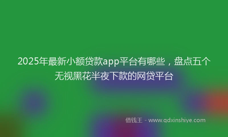 2025年最新小额贷款app平台有哪些，盘点五个无视黑花半夜下款的网贷平台