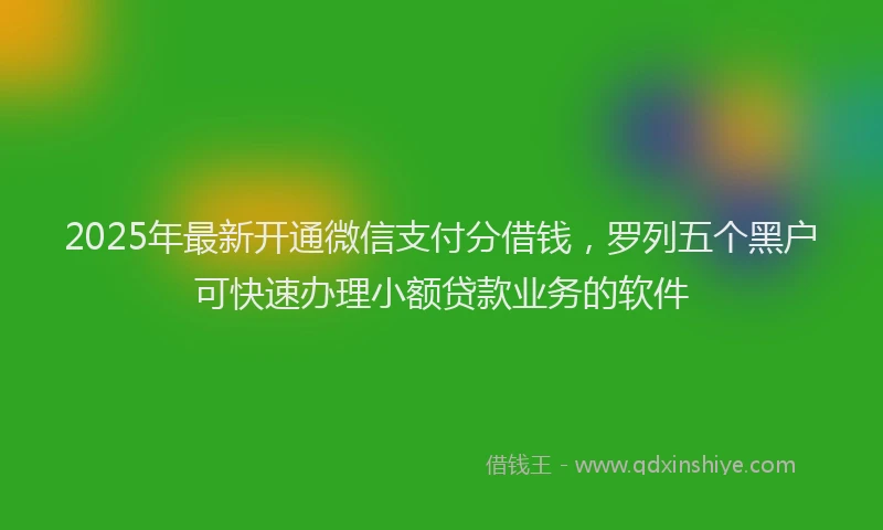 2025年最新开通微信支付分借钱，罗列五个黑户可快速办理小额贷款业务的软件