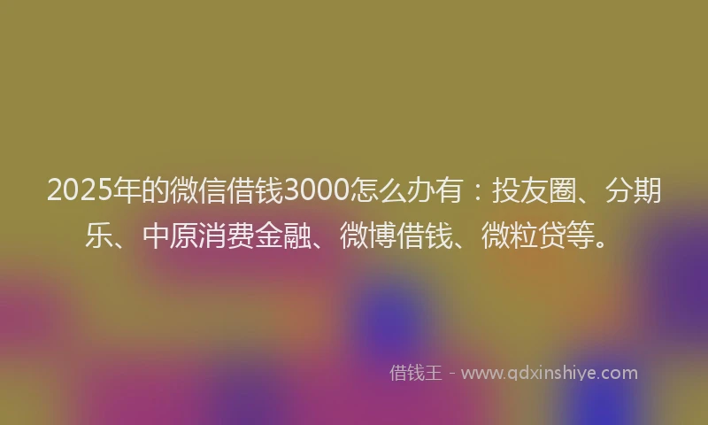 2025年的微信借钱3000怎么办有：投友圈、分期乐、中原消费金融、微博借钱、微粒贷等。