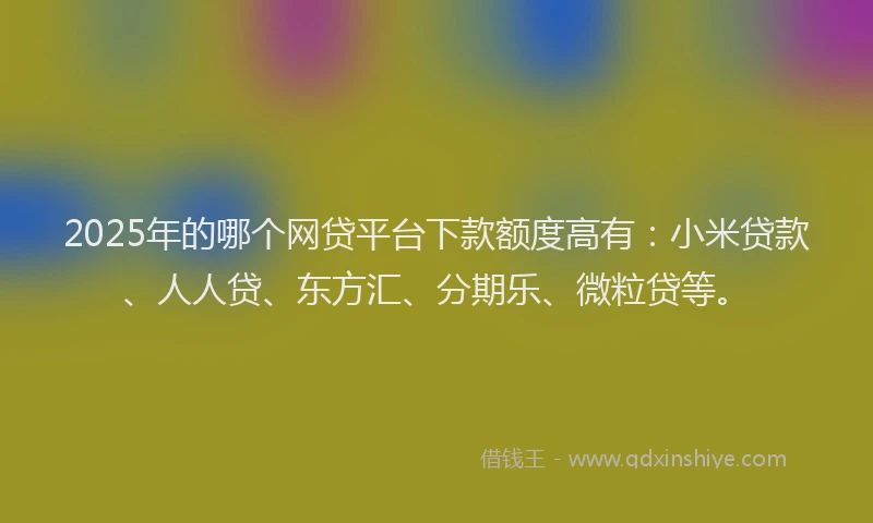 2025年的哪个网贷平台下款额度高有：小米贷款、人人贷、东方汇、分期乐、微粒贷等。