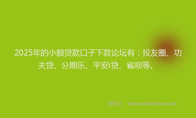 2025年的小额贷款口子下款论坛有：投友圈、功夫贷、分期乐、平安i贷、省呗等。