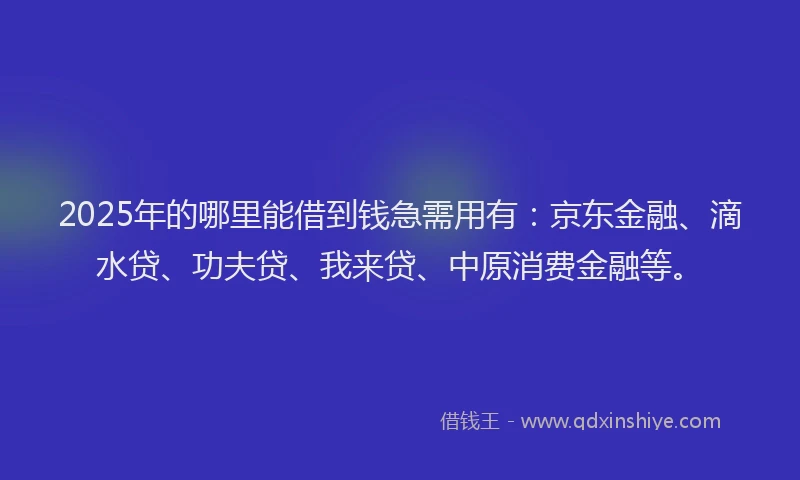 2025年的哪里能借到钱急需用有：京东金融、滴水贷、功夫贷、我来贷、中原消费金融等。